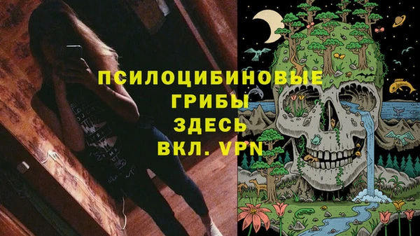 ALPHA-PVP Аркадак