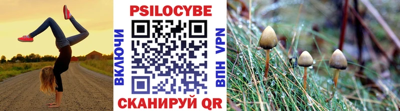 Галлюциногенные грибы Cubensis  Иннополис 